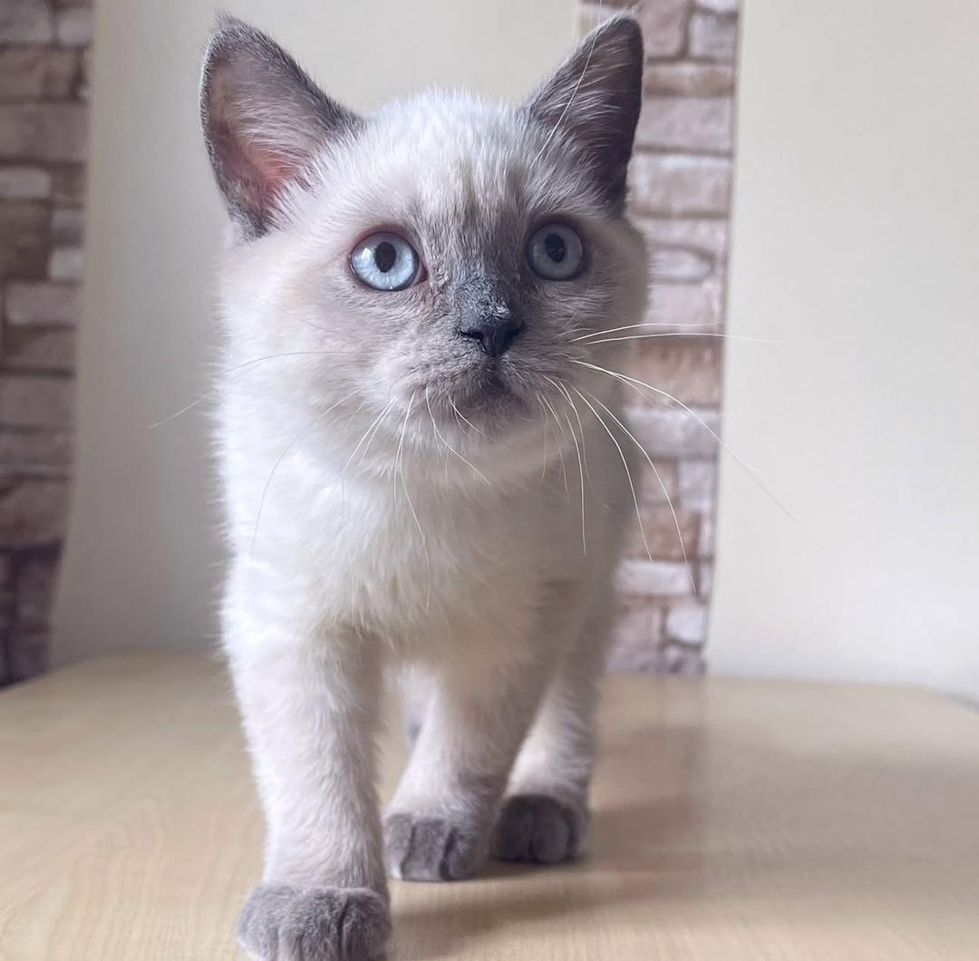 WhatsApp Image 2025-11-22 at 21.48.10 Glacier - Image 1